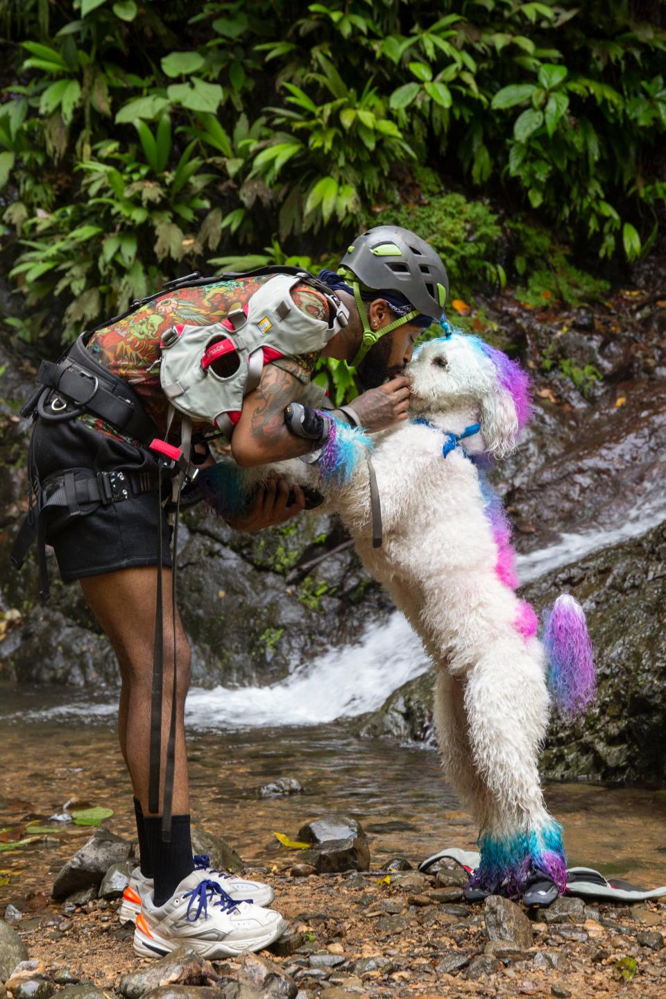 Josh White nuzzles his dog Snow, who rocks colorful fur, when the competition takes them to Costa Rica.