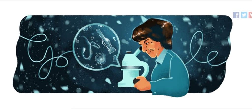 Google Doodle on 3 October celebrates the 105th birthday of Dr. María de los Ángeles Alvariño González (Google)