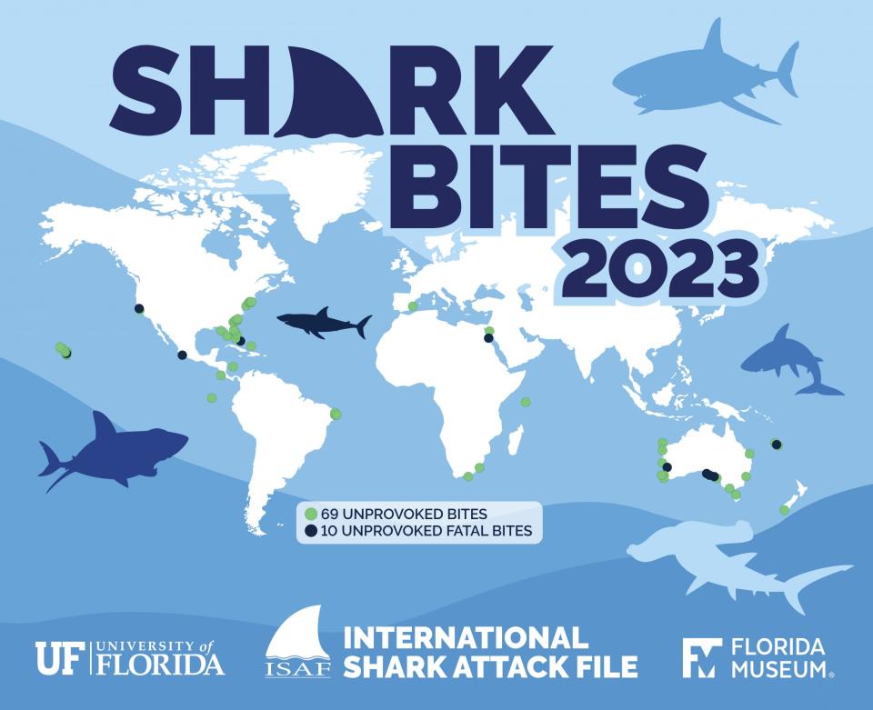 An infographic showing where shark bites occurred in 2023.
