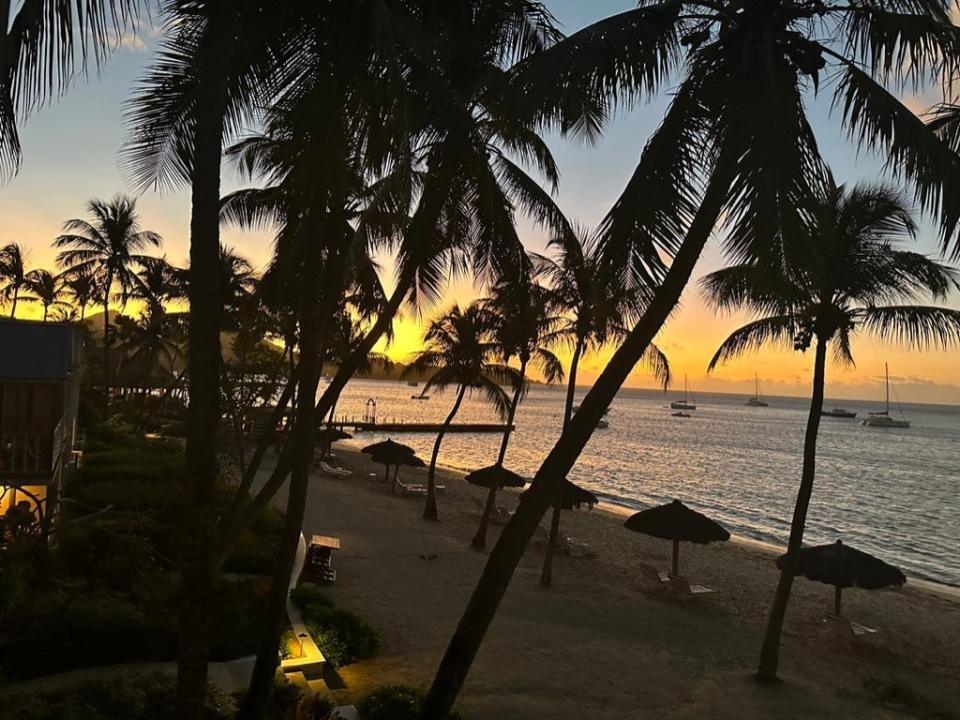 A beach lined with umbrellas and palm trees at sunset.