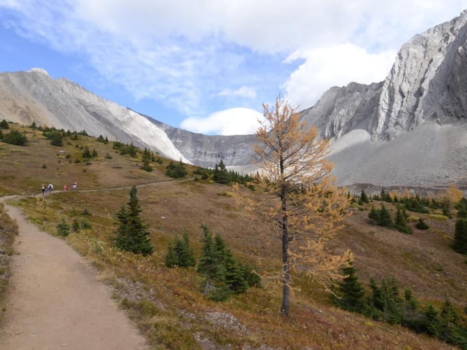 Ptarmigan Cirque is a popular hike in Kananaskis for its family-friendly loop.  (Helen Pike/CBC - photo credit)