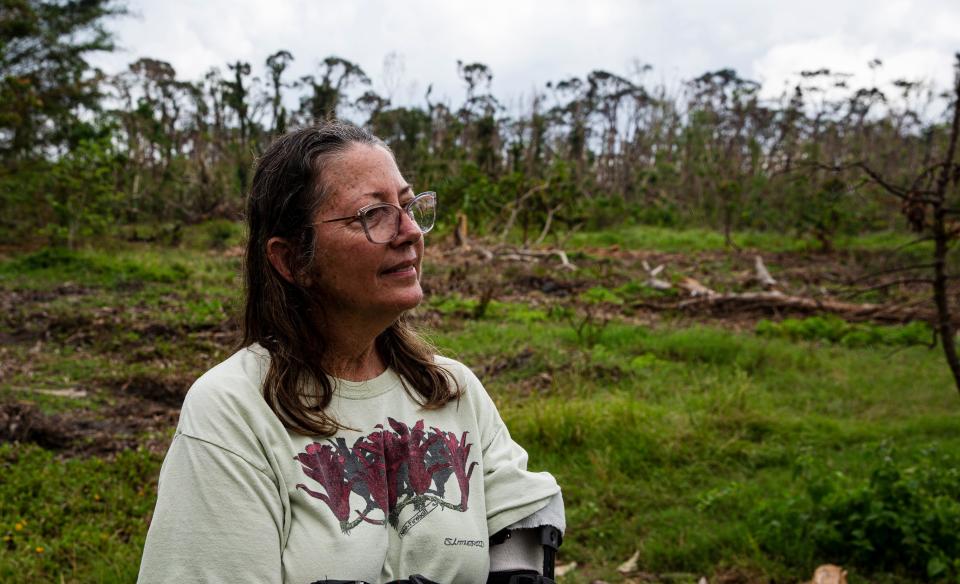 Donna Schneider, owner of Pine Island Tropicals, surveys her property that was devastated by Hurricane Ian.