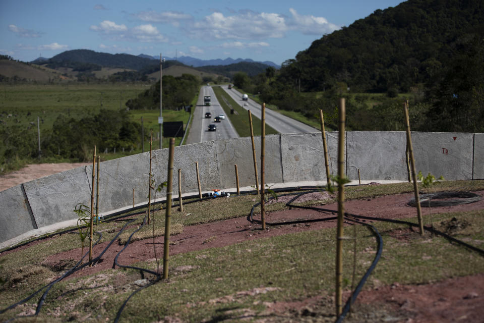 Saplings grow on an eco-corridor for the endangered Golden Lion Tamarin that crosses over an interstate highway in Silva Jardim, Rio de Janeiro state, Brazil, Thursday, Aug. 6, 2020. Once the trees grow, it will allow the primates to safely cross the busy highway bisecting one of the last Atlantic coast rainforest reserves. (AP Photo/Silvia Izquierdo)