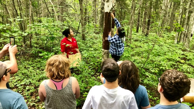 Birchbark and bannock: Lennox Island First Nation shares culture with visitors