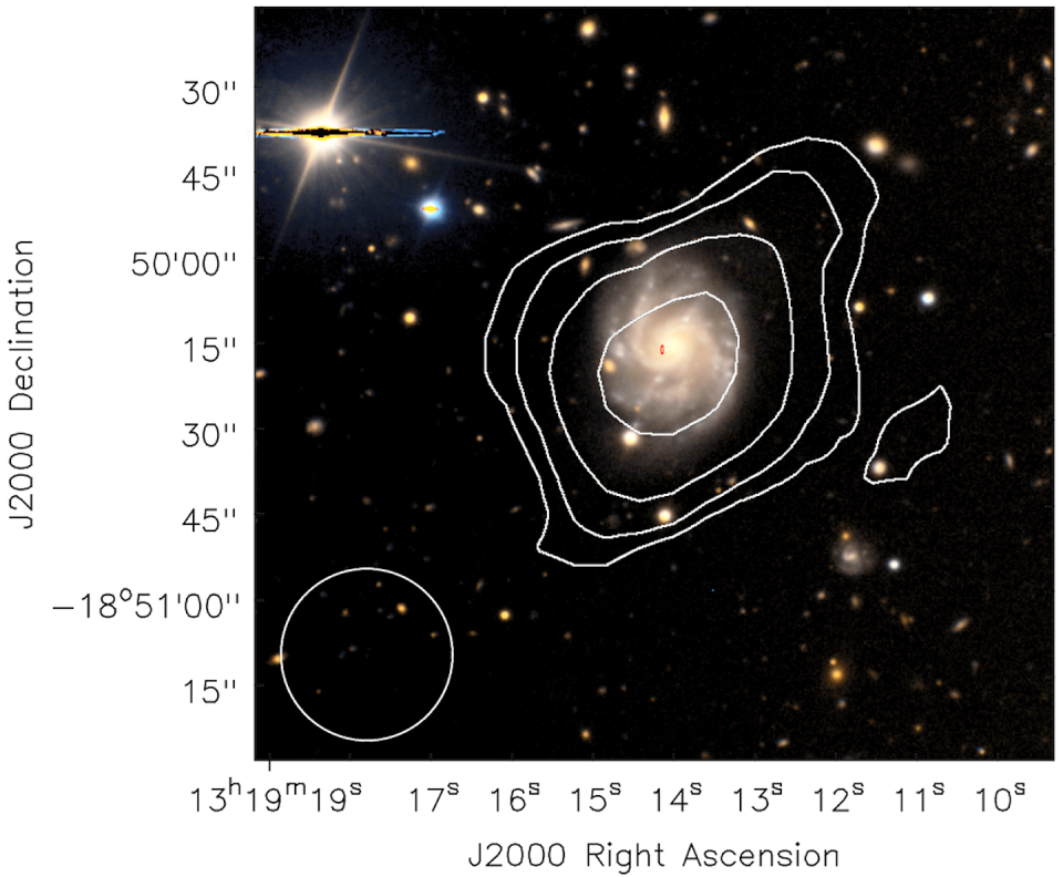 ASKAP both found the cold hydrogen gas (white contours) in this spiral galaxy, and pinpointed an FRB near the centre (location given by the red ellipse). Glowacki et al. 2023; ESO and ASKAP.
