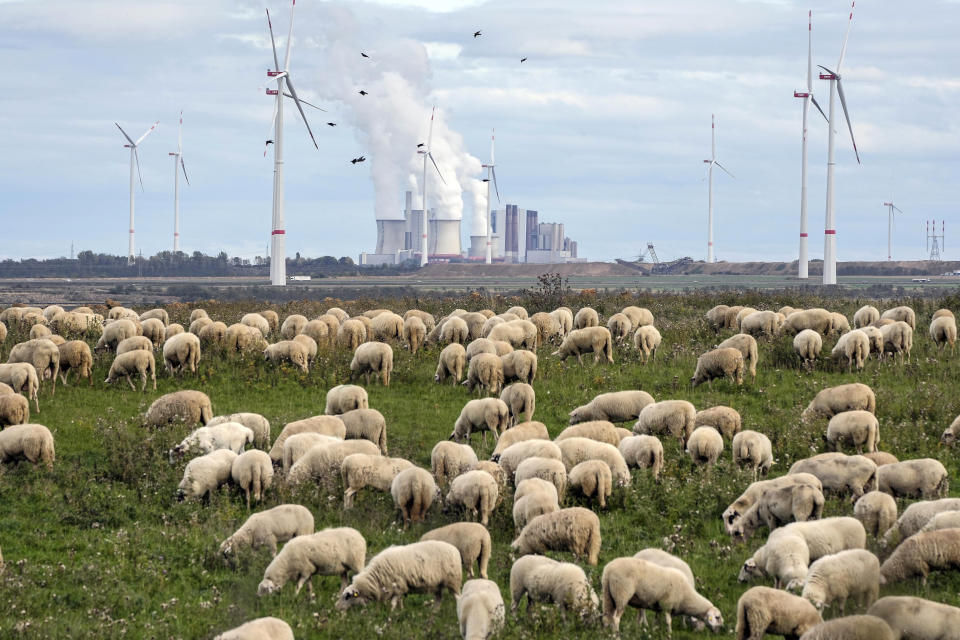 FILE - A flock of sheep graze in front of a coal-fired power plant at the Garzweiler open-cast coal mine near Luetzerath, western Germany, Oct. 16, 2022. War has been a catastrophe for Ukraine and a crisis for the globe. One year on, thousands of civilians are dead, and countless buildings have been destroyed. Hundreds of thousands of troops have been killed or wounded on each side. Beyond Ukraine’s borders, the invasion shattered European security, redrew nations’ relations with one another and frayed a tightly woven global economy. (AP Photo/Martin Meissner, File)