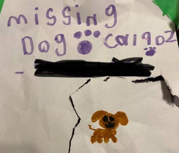 Blair Coutts and Shelley Perry's oldest daughter, Aleah Perry, made these posters when their family dog was missing.