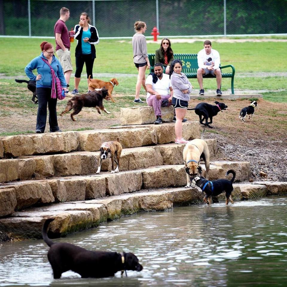 The water features were a popular spots at the recent opening of the ZBonz Dog Park in Fort Worth, the city’s second dog park.