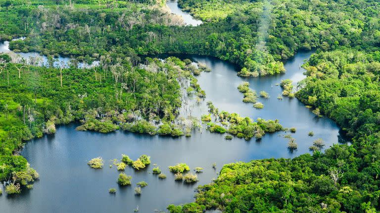 Vista aérea de la selva amazónica, cerca de Manaos, Brasil.