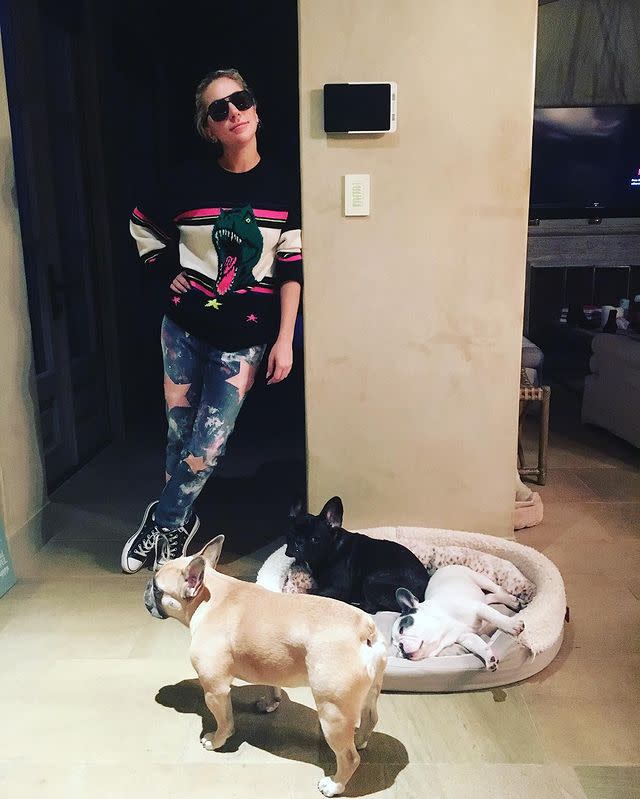 Lady Gaga's Dogs Were Stolen: See Photos of the Singer's French Bulldogs Asia, Koji and Gustav