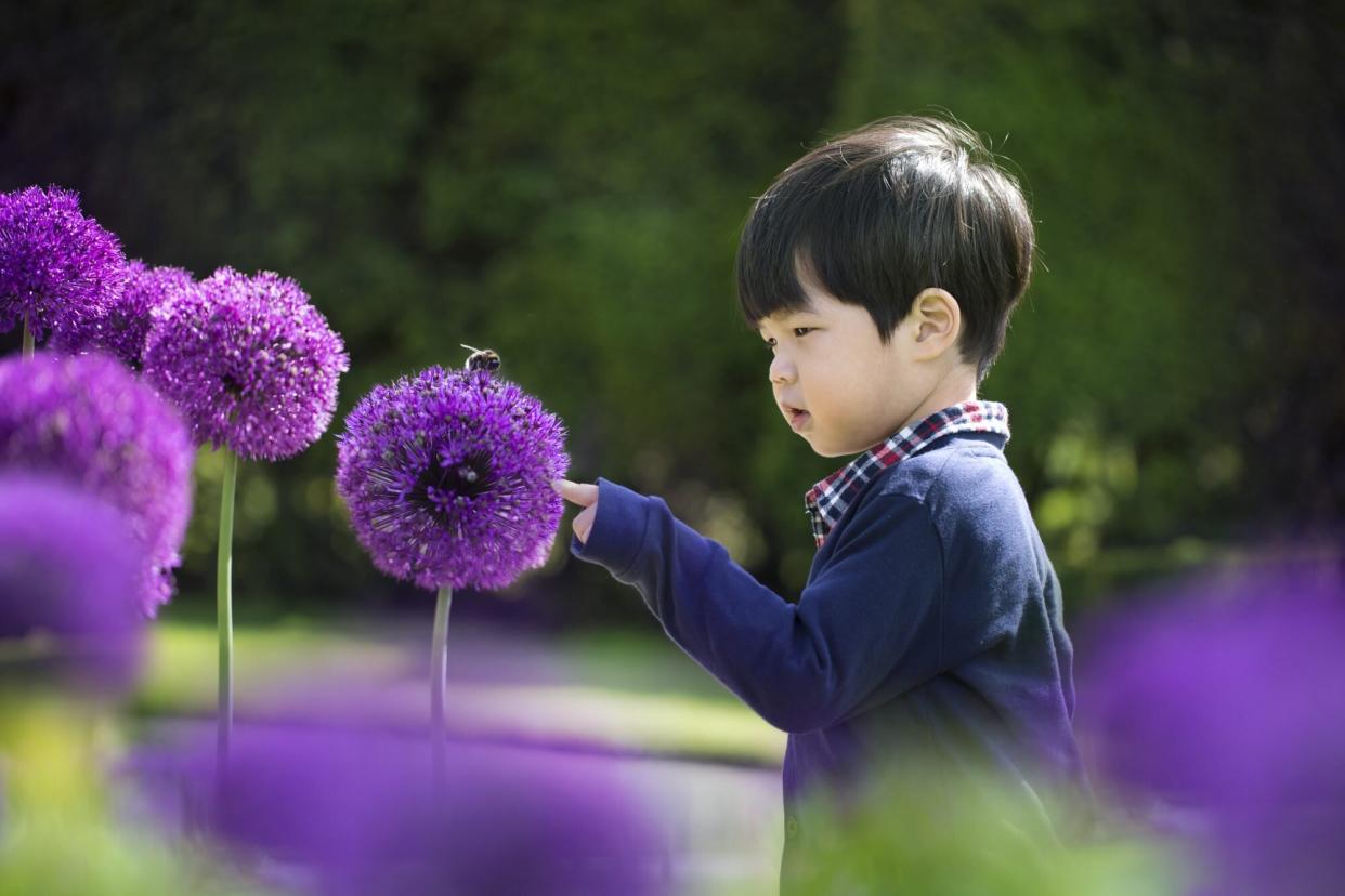 Kid and a bee