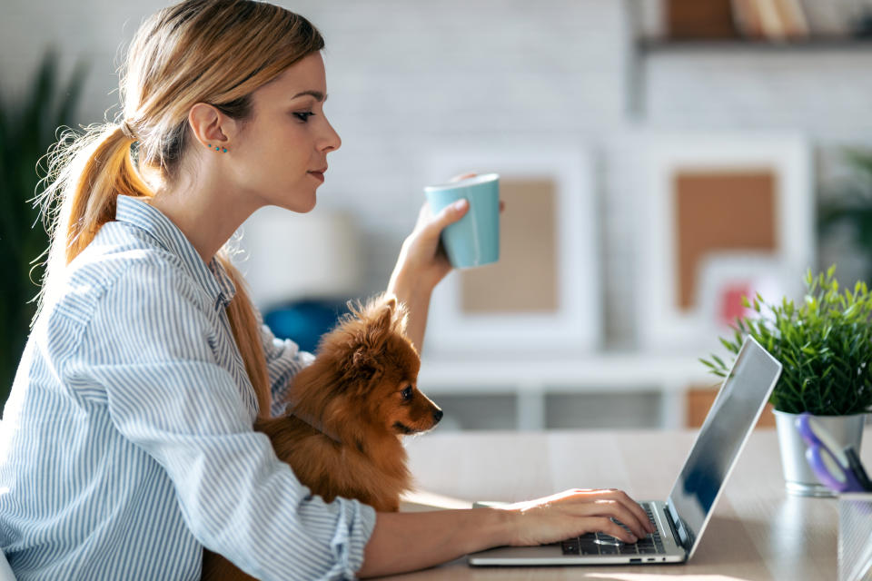 Working at home has the benfit of snuggling with your pets. (Getty Images)