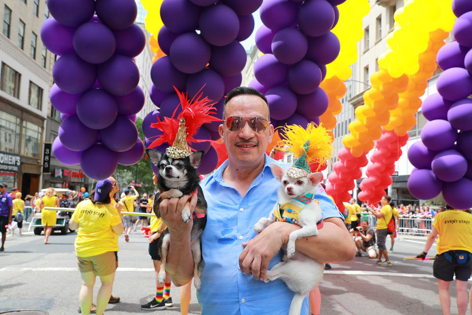 <p>A man carries his dogs, Bogey and Kimba — suitably adorned with festive headdresses — during the N.Y.C. Pride Parade in New York on June 25, 2017. (Photo: Gordon Donovan/Yahoo News) </p>