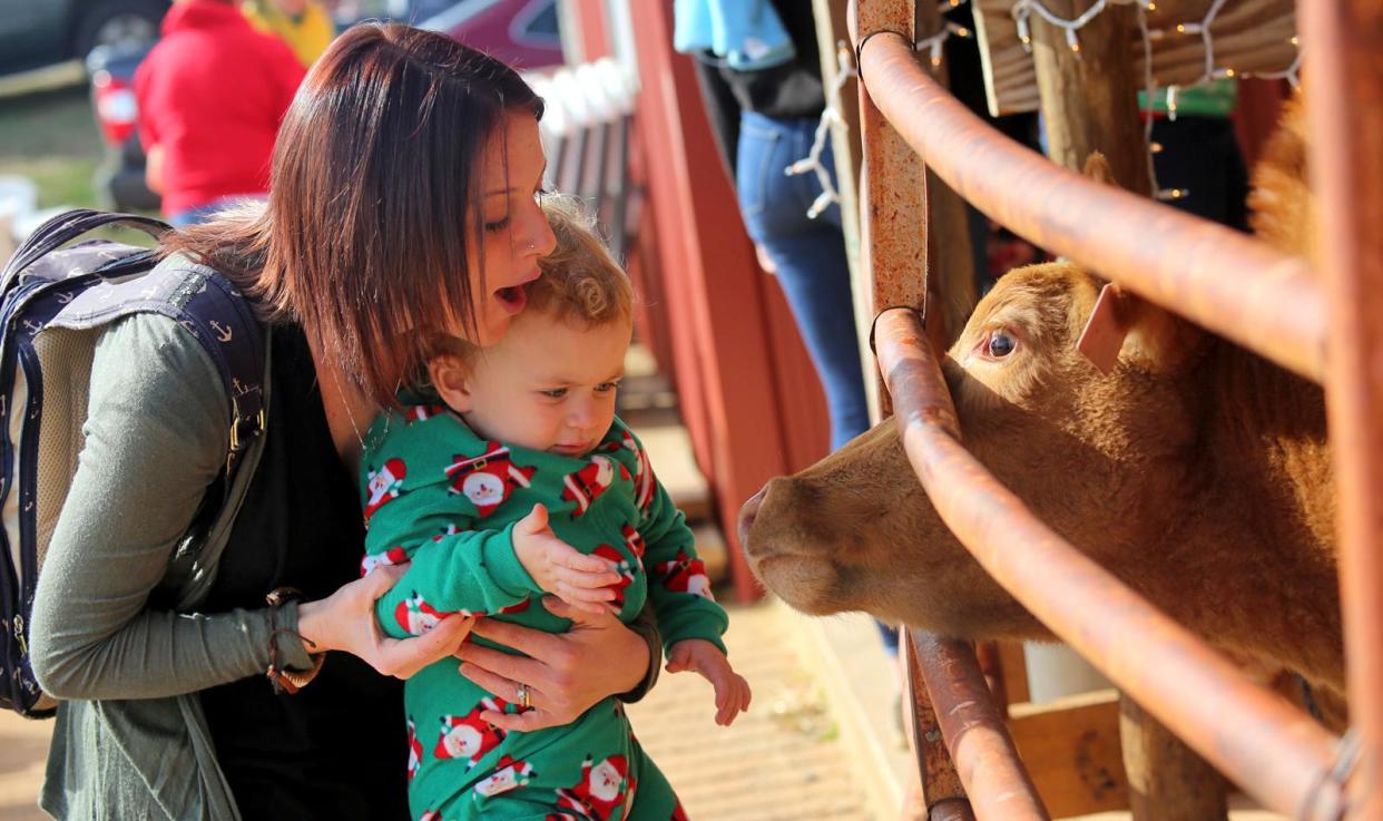 Mason, 2, and Ashlin Smith spend time with cows at Guernsey Girl Creamery in this Star file photo.