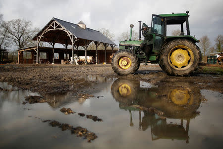 A resident works at "Bellevue" area in the zoned ZAD (Deferred Development Zone) in Notre-Dame-des-Landes, that is slated for the Grand Ouest Airport (AGO), western France January 16, 2018. REUTERS/Stephane Mahe