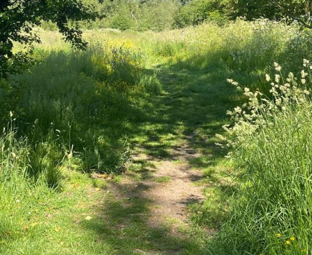 Filmmaker joins forces to save town s old golf course from housing