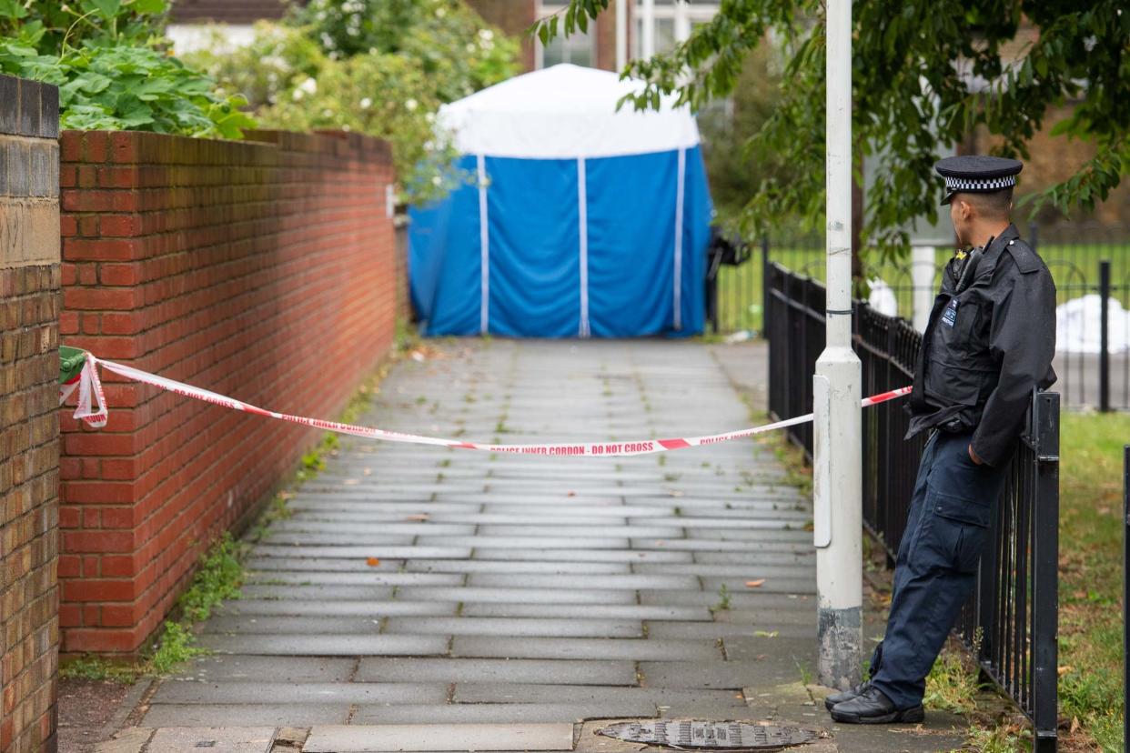 A boy was found with stab injuries in Stratford and was later pronounced dead: PA