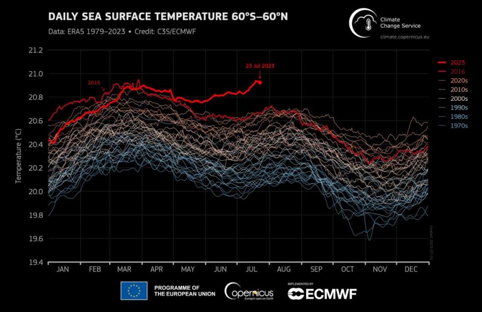 Temperatura global diaria de la superficie del mar (°C) promediada en el dominio 60°S-60°N trazada como serie temporal para cada año desde el 1 de enero de 1979 hasta el 23 de julio de 2023. Los años 2023 y 2016 se muestran con líneas gruesas sombreadas en rojo brillante y rojo oscuro, respectivamente. Los demás años se muestran con líneas finas y sombreadas según la década, desde el azul (década de 1970) hasta el rojo ladrillo (década de 2020). Datos: ERA5. Crédito: C3S/ECMWF.