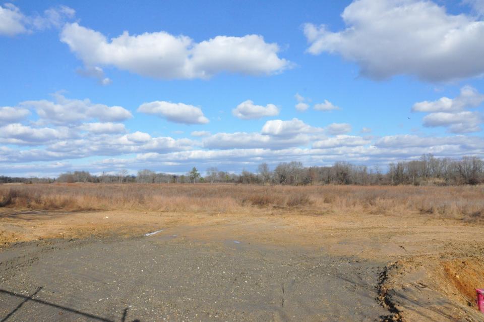 This is the site of the proposed Canal Overlook subdivision on about 83 acres on the south side of Cox Neck Road between St. Georges and Delaware City.