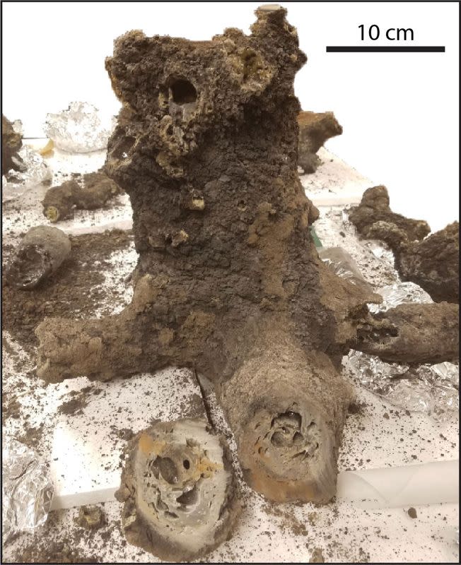 All excavated pieces of the fulgurite from the backyard of a family’s home in Illinois analyzed in a study are seen in this undated handout image