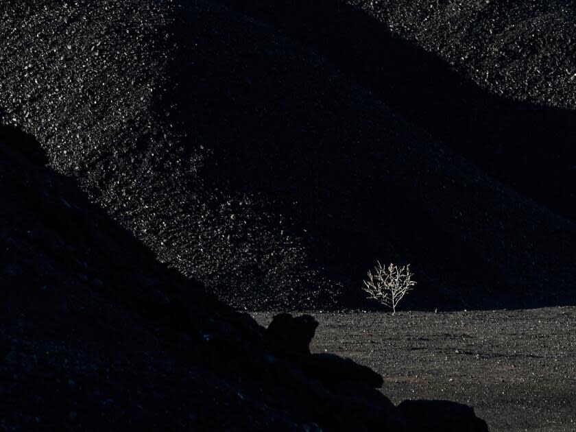 A lone tumbleweed blows through piles of coal at the Rosebud Mine outside Colstrip, a few miles from the power plant.