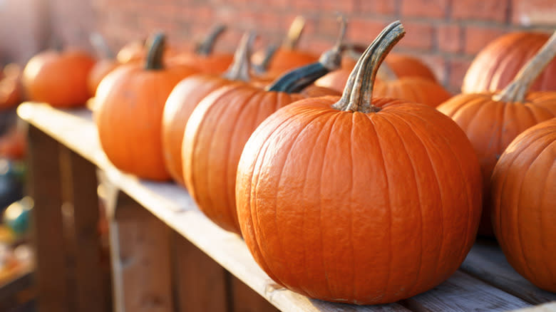 row of orange pumpkins