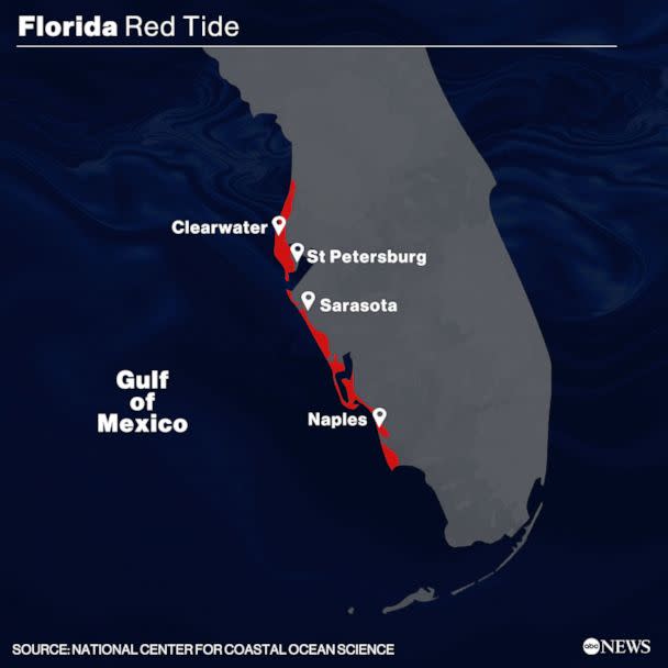 PHOTO: Florida Red Tide (ABC News Photo Illustration)