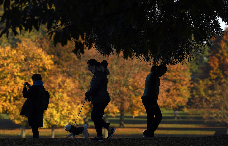 Walkers in Hyde Park in London