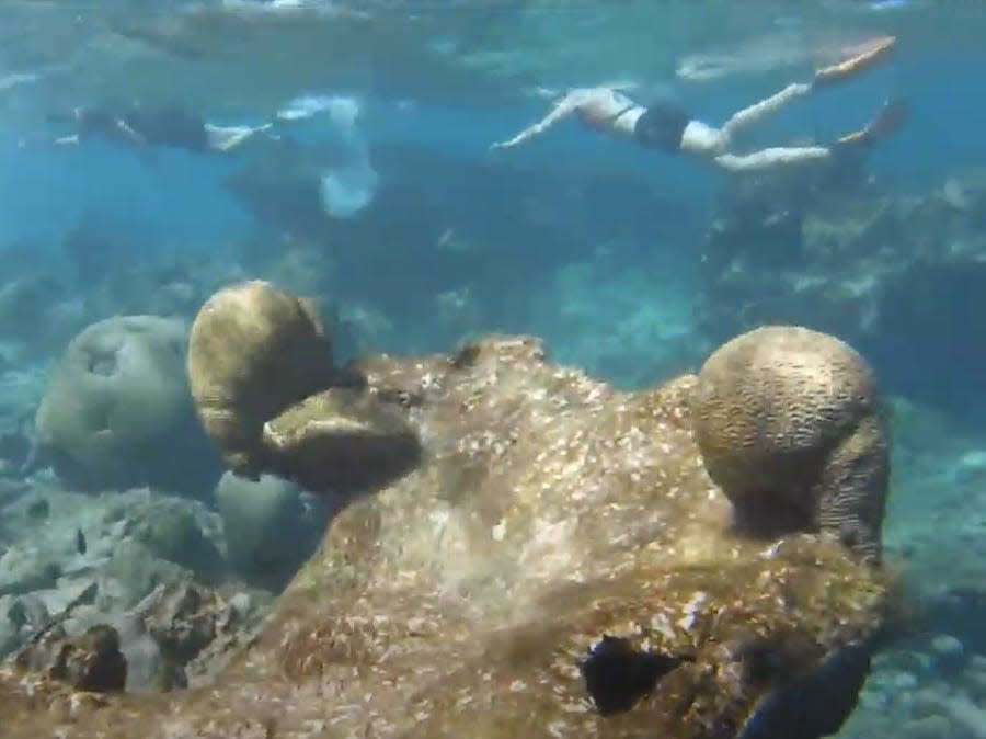 Buck Island Reef National Monument