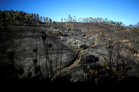 View of a burned forest next to the village of Monchique, Portugal August 8, 2018. REUTERS/Pedro Nunes