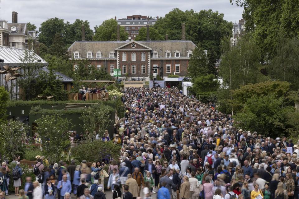 london, england may 26 crowds on the main avenue at chelsea flower show on may 26, 2022 in london, england the chelsea flower show returns to its usual place in the horticultural calendar after being cancelled in 2020 and postponed in 2021 due to the covid pandemic this year sees the show celebrate the queen's platinum jubilee and also a theme of calm and mindfulness running through the garden designs photo by dan kitwoodgetty images