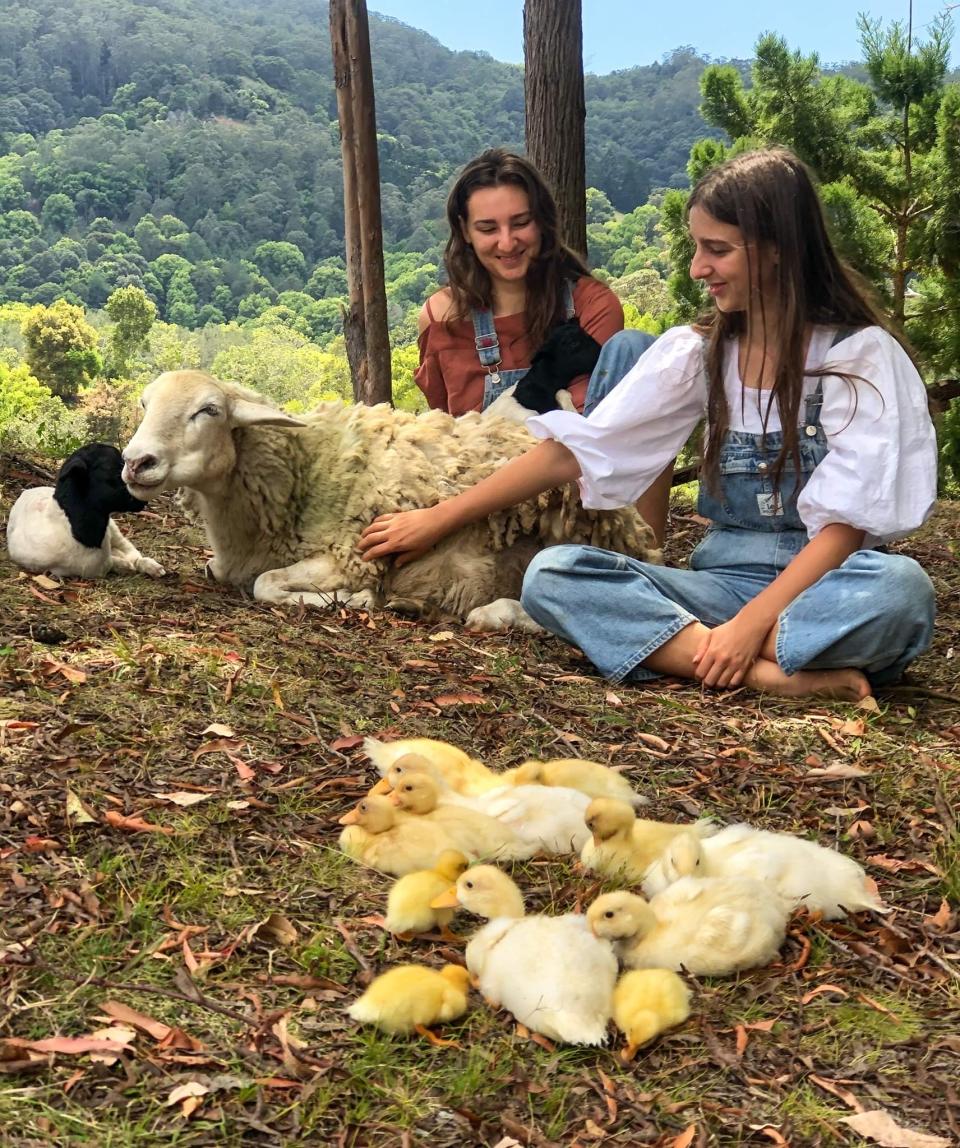 The two sisters, Julia and Anastasia, sit on the ground with ducklings and sheep.