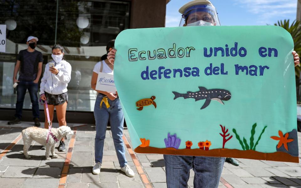  A person protests at the Chinese Embassy in Quito, Ecuador - Shutterstock