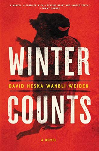 6) Winter Counts by David Heska Wanbli Weiden