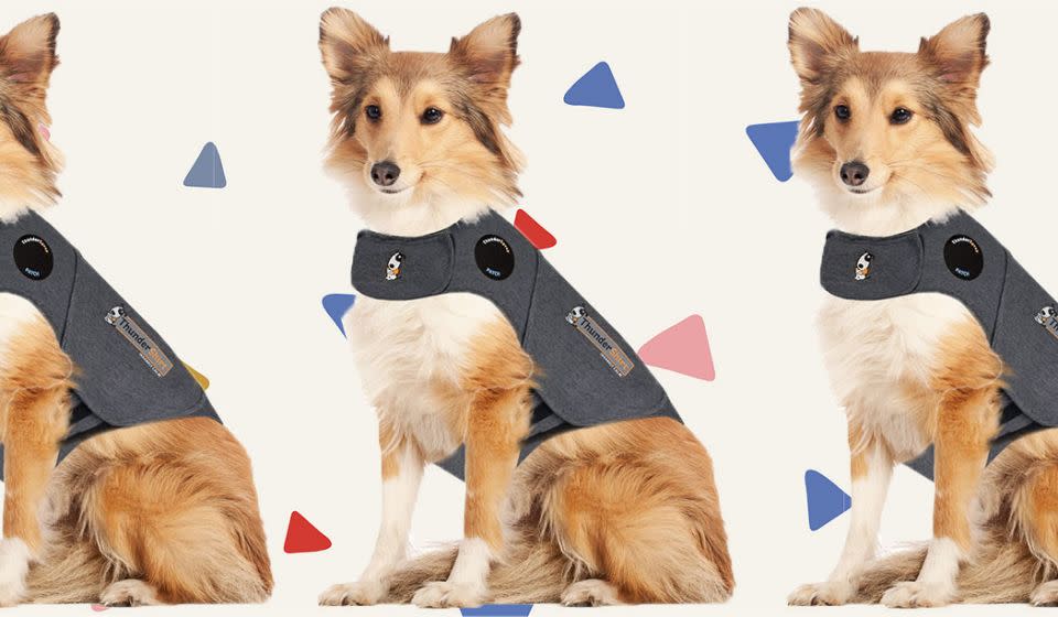 A tu perro le encantará (Foto: Amazon).