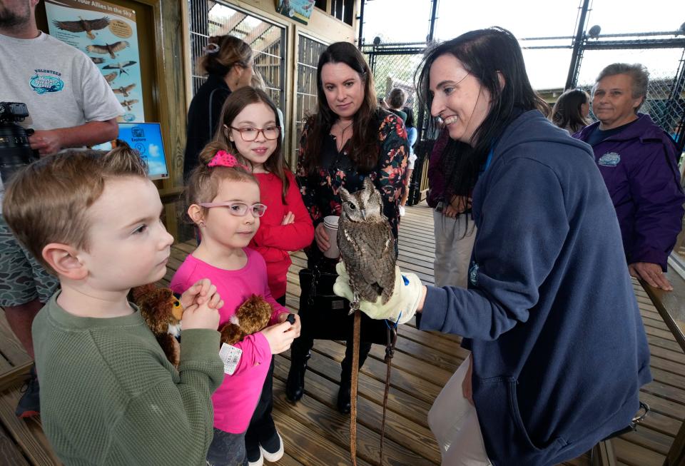 Tracy Dawson shows guests "Einstein" an eastern screech owl during the Marine Science Center's raptor exhibit opening ceremony in Ponce Inlet, Tuesday, Dec.12, 2023.