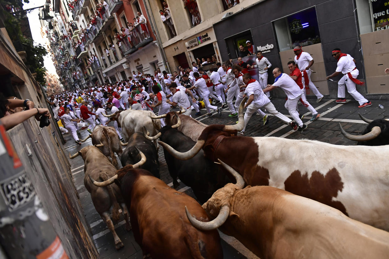 People run through the streets with fighting bulls and steers during the first day of the running of the bulls at the San Fermin Festival in Pamplona, northern Spain, Thursday, July 7, 2022. Revelers from around the world flock to Pamplona every year for nine days of uninterrupted partying in Pamplona's famed running of the bulls festival which was suspended for the past two years because of the coronavirus pandemic. (AP Photo/Alvaro Barrientos)