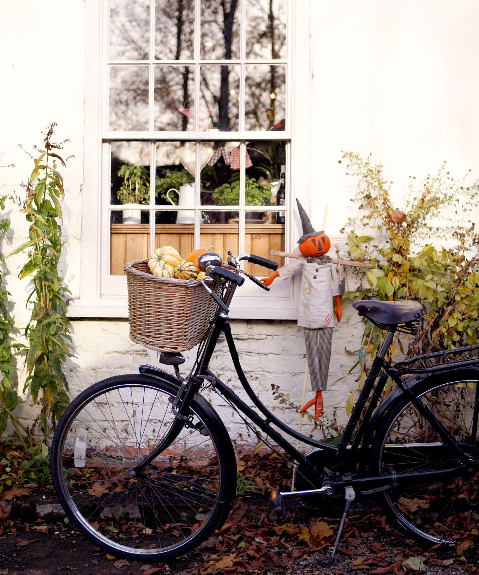 Outdoor fall with pumpkins and gourds