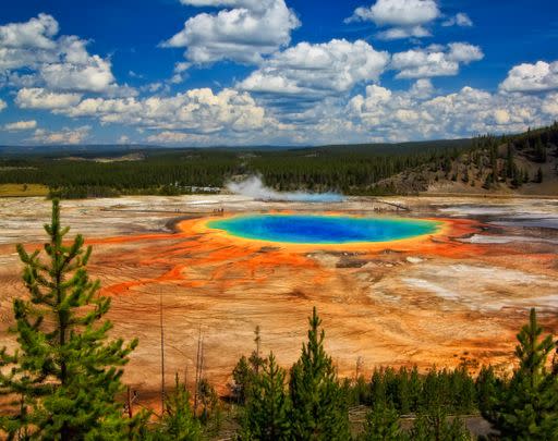 Yellowstone National Park