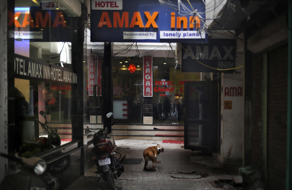 A dog stands outside Hotel Amax Inn in New Delhi Wednesday, Jan. 15, 2014. A 51-year-old Danish tourist lost her way and asked for directions back to this hotel was gang-raped Tuesday near a popular central shopping area in the Indian capital, police said Wednesday. The woman managed to reach her hotel Tuesday evening and the owner called police. The attack is the latest case to focus international attention on the scourge of rape and violence against women in India. (AP Photo/Altaf Qadri)