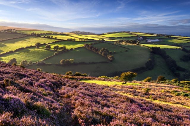 Heather Coast