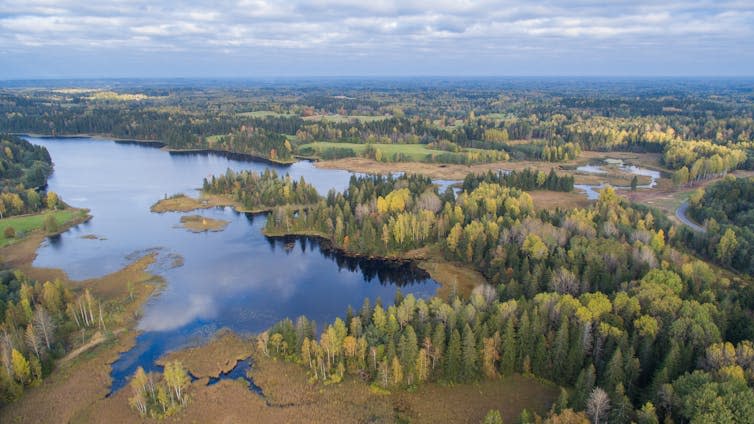 Lakes, forests, seen from above