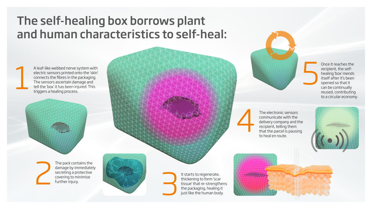 The characteristics of the self-healing box include a webbed nerve system that borrows from the composition of leaves 