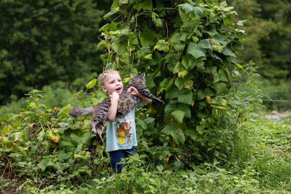 Jonathan Apollo Brock, 3, picks up his pet cat while his aunt Maurice Cornett tends to her garden at their home in Letcher County, Ky, Tuesday, August 8, 2023.