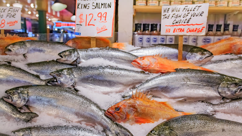 king salmon on ice