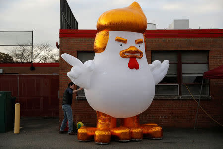 Ben Bostwick, a volunteer with the Ralph Northam campaign, blows up an inflatable chicken designed to resemble President Donald Trump on Election Day at Washington Mill Elementary School in Alexandria, Virginia, U.S., November 7, 2017. REUTERS/Aaron P. Bernstein