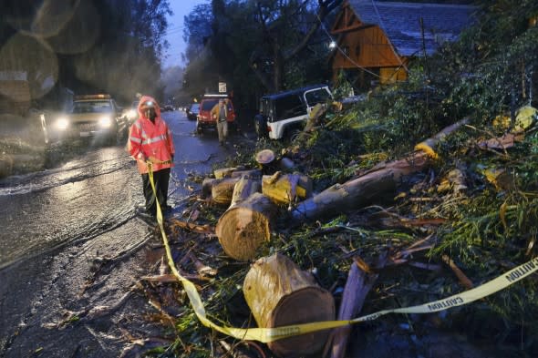 Pacific storm tree damage LA (AP)