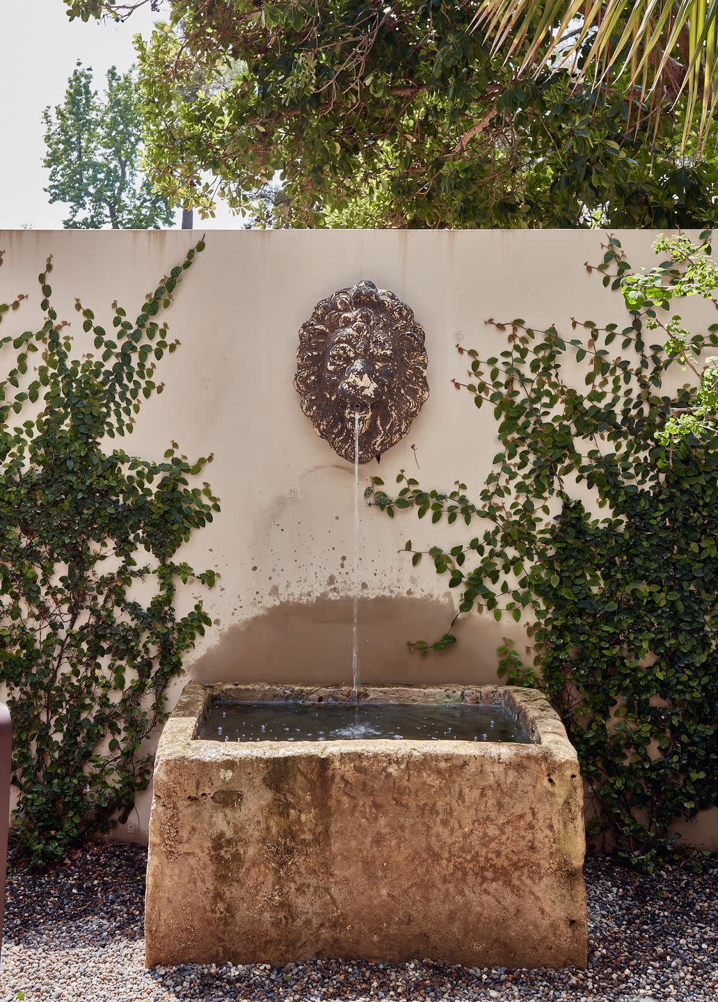a circa 1820s italian lions head fountain and vintage french limestone trough embraced by climbing fig