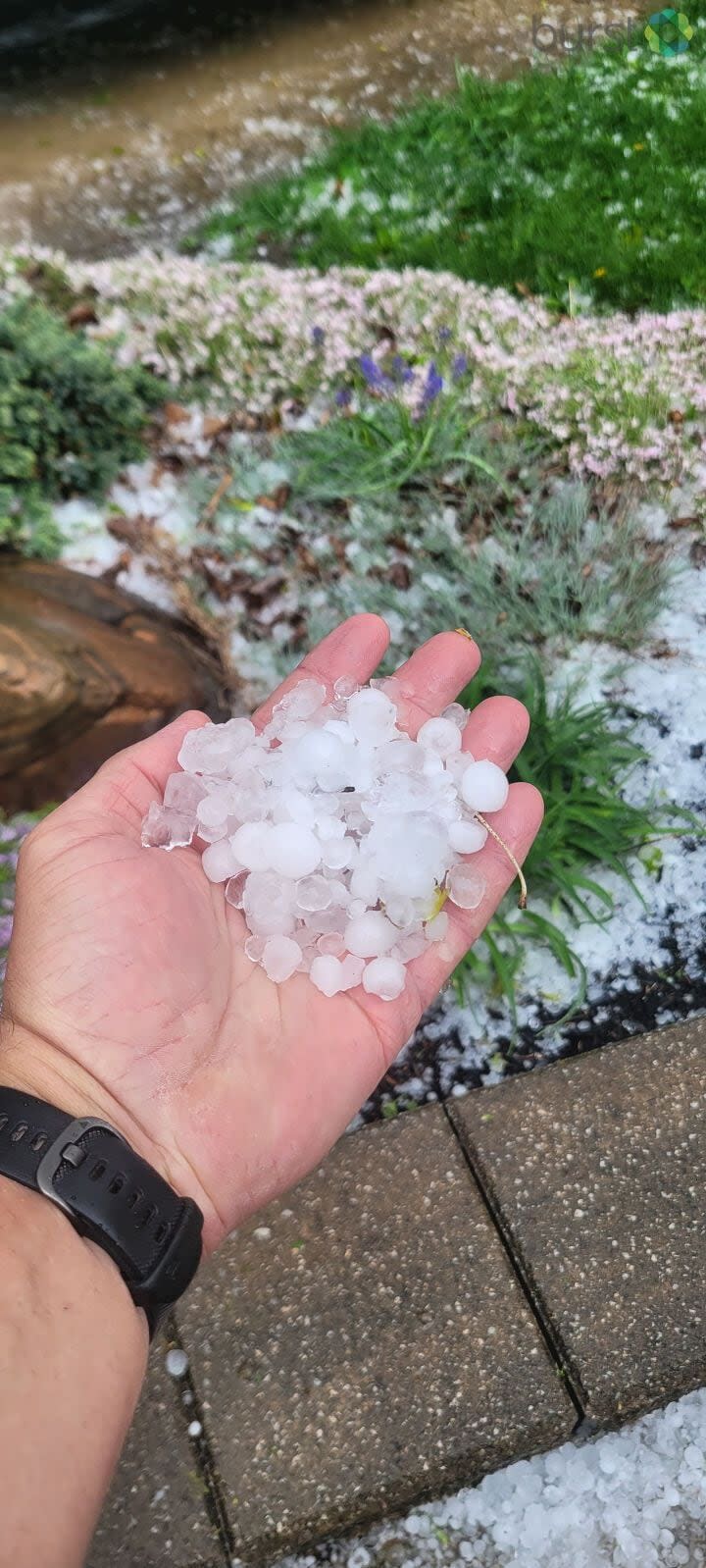 Hail between Troy and Piqua.