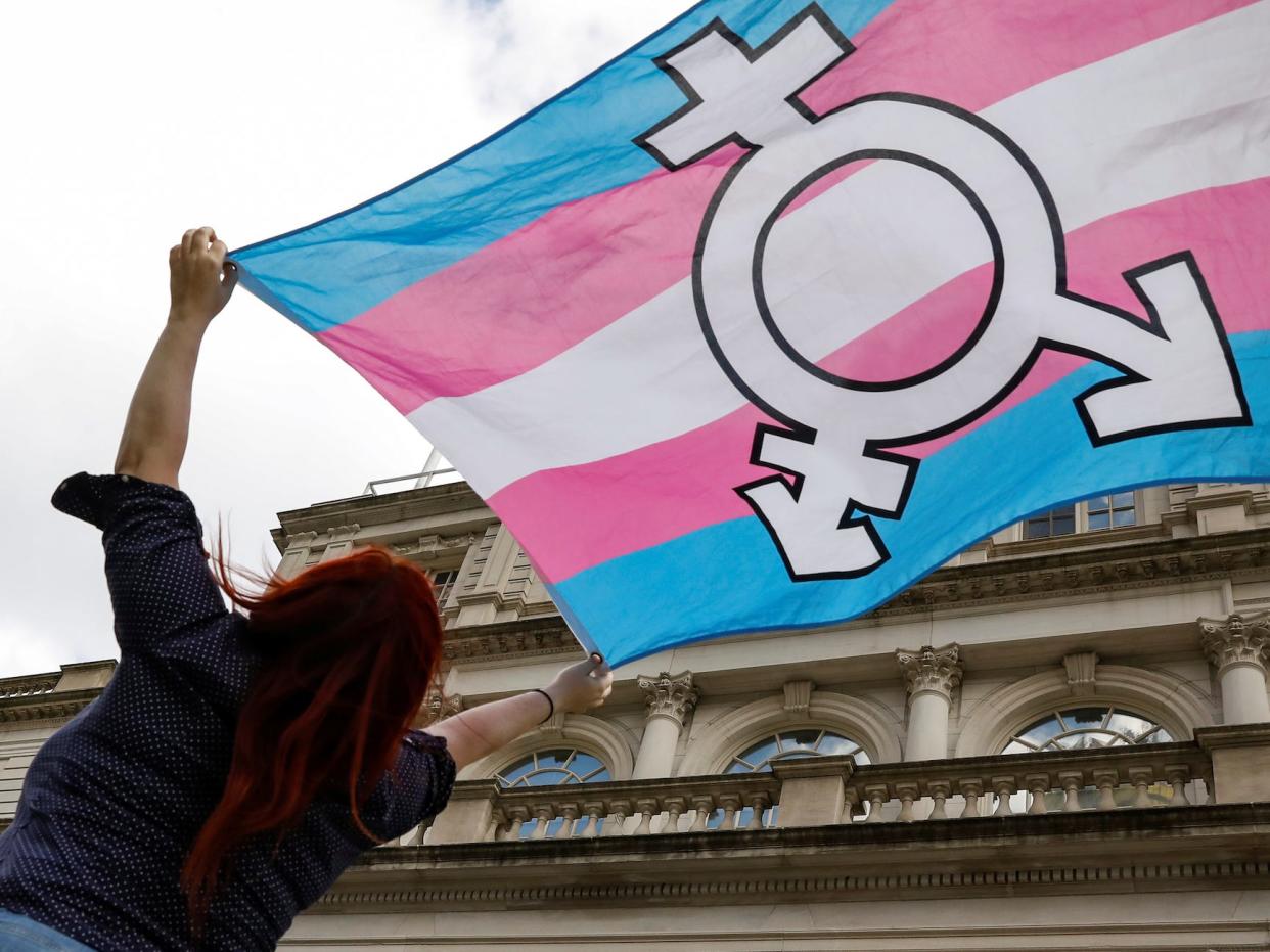 A person holds up a flag during rally to protest the Trump administration's reported transgender proposal to narrow the definition of gender to male or female at birth in New York (file photo).JPG